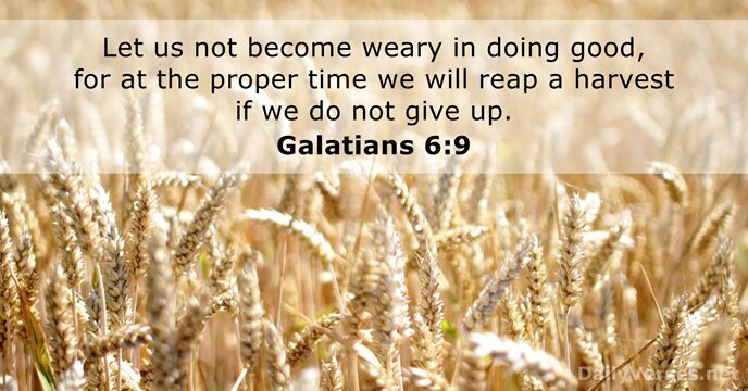 Let us not become weary in doing good, for at the proper… Galatians 6:9