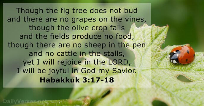 Though the fig tree does not bud and there are no grapes… Habakkuk 3:17-18