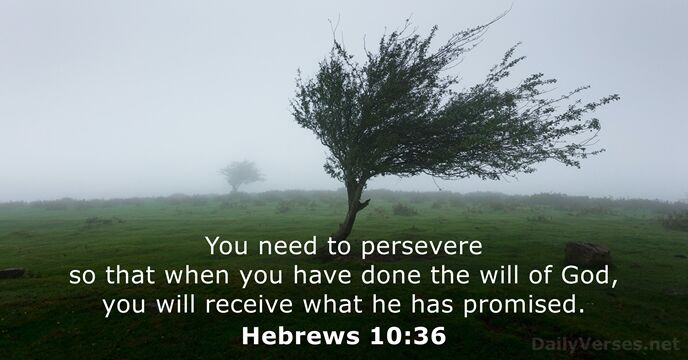 You need to persevere so that when you have done the will… Hebrews 10:36