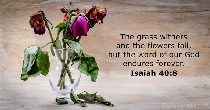The grass withers and the flowers fall, but the word of our… Isaiah 40:8