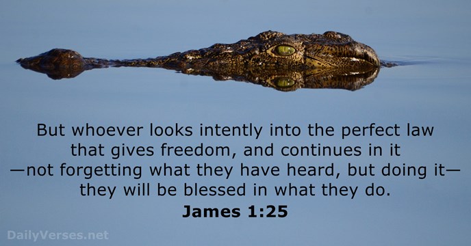 But whoever looks intently into the perfect law that gives freedom, and… James 1:25