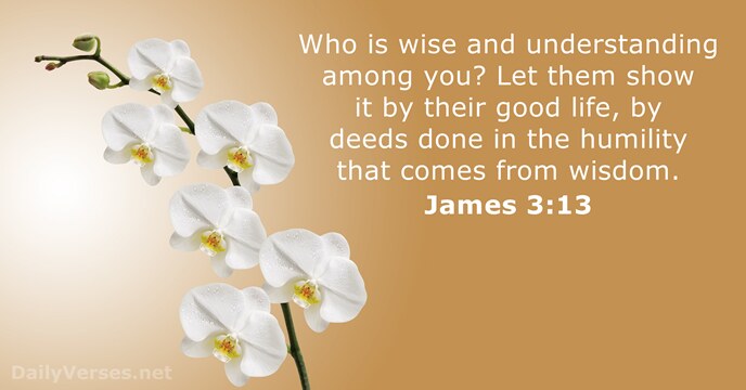 Who is wise and understanding among you? Let them show it by… James 3:13