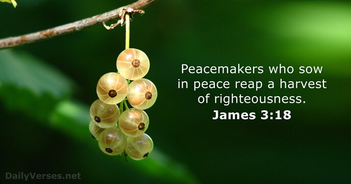 Peacemakers who sow in peace reap a harvest of righteousness. James 3:18