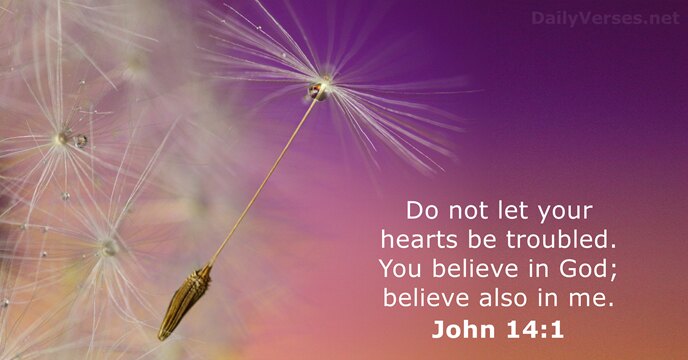 Do not let your hearts be troubled. You believe in God; believe… John 14:1