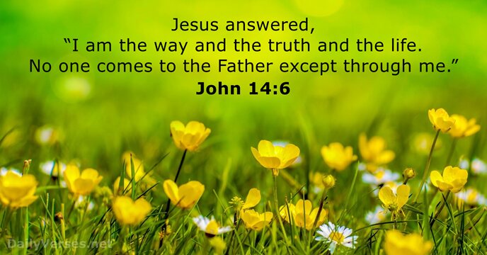 Jesus answered, “I am the way and the truth and the life… John 14:6