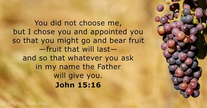 You did not choose me, but I chose you and appointed you… John 15:16