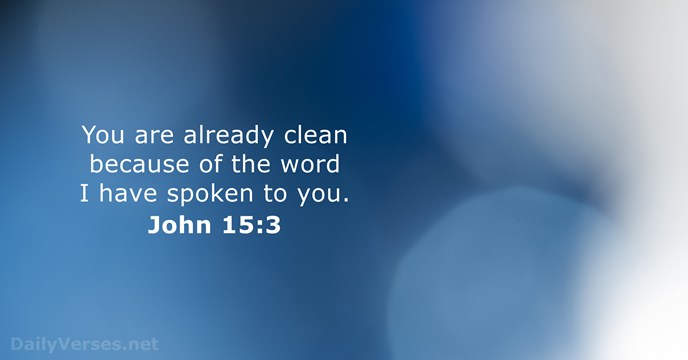You are already clean because of the word I have spoken to you. John 15:3