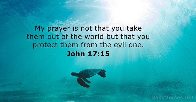My prayer is not that you take them out of the world… John 17:15