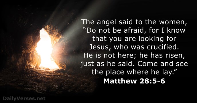 The angel said to the women, “Do not be afraid, for I… Matthew 28:5-6