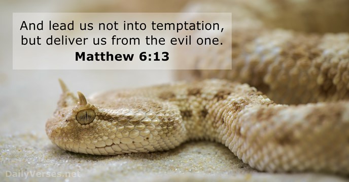 And lead us not into temptation, but deliver us from the evil one. Matthew 6:13