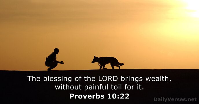 The blessing of the LORD brings wealth, without painful toil for it. Proverbs 10:22