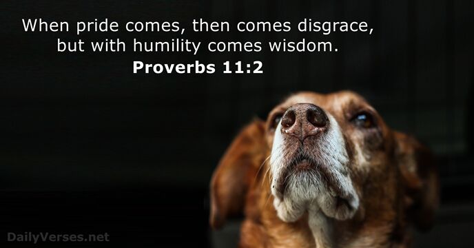 When pride comes, then comes disgrace, but with humility comes wisdom. Proverbs 11:2