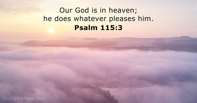 Our God is in heaven; he does whatever pleases him. Psalm 115:3