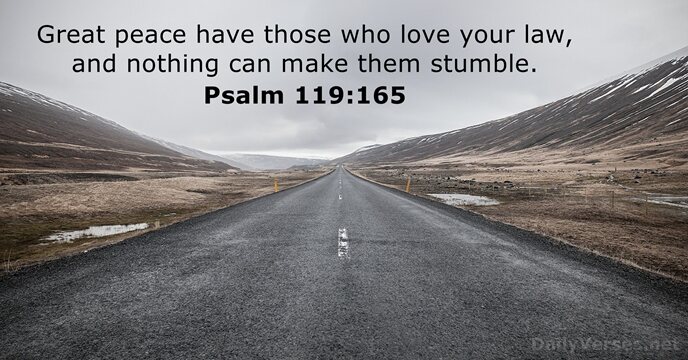 Great peace have those who love your law, and nothing can make them stumble. Psalm 119:165