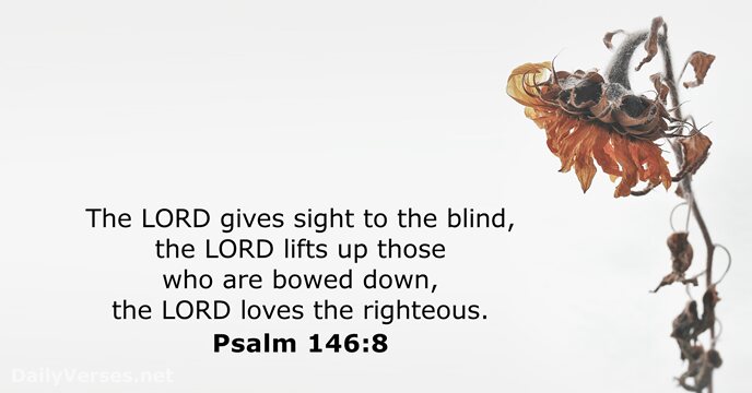 The LORD gives sight to the blind, the LORD lifts up those… Psalm 146:8