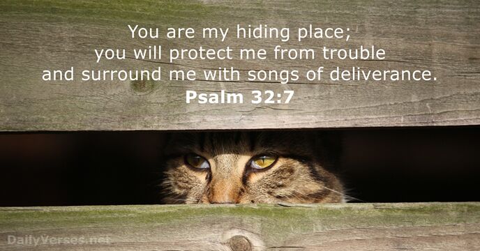 You are my hiding place; you will protect me from trouble and… Psalm 32:7