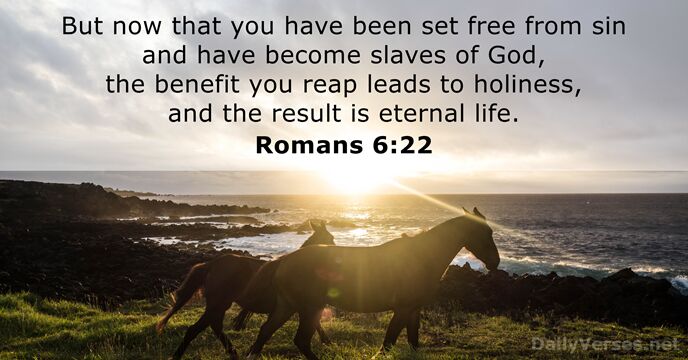 But now that you have been set free from sin and have… Romans 6:22
