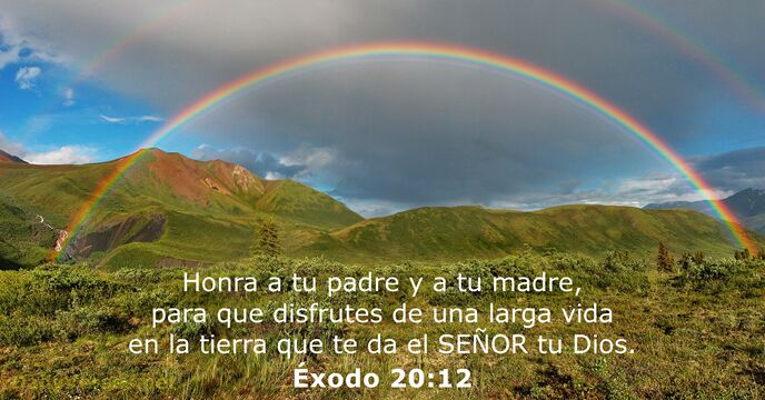 Éxodo 20:12 - Versículo de la Biblia del día - DailyVerses.net