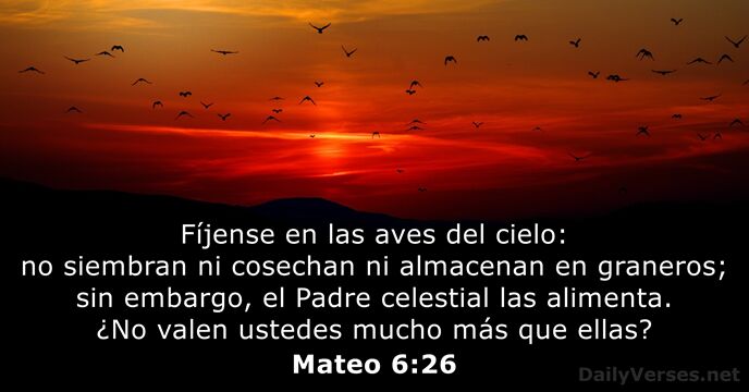 Mateo 6:26 - Versículo de la Biblia del día - DailyVerses.net