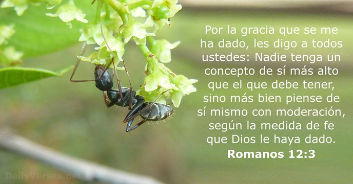 Romanos 12:3 - Versículo de la Biblia del día - DailyVerses.net