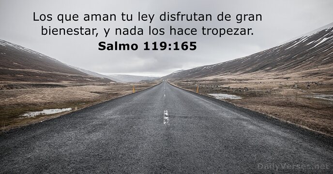 Salmos 119 165 Vers culo De La Biblia Del D a DailyVerses salmos-119-165-vers-culo-de-la-biblia-del-d-a-dailyverses