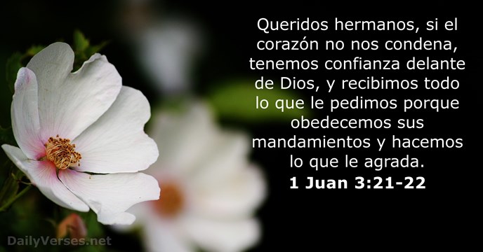 1 Juan 3:21-22