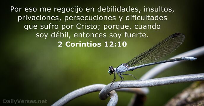 Por eso me regocijo en debilidades, insultos, privaciones, persecuciones y dificultades que… 2 Corintios 12:10