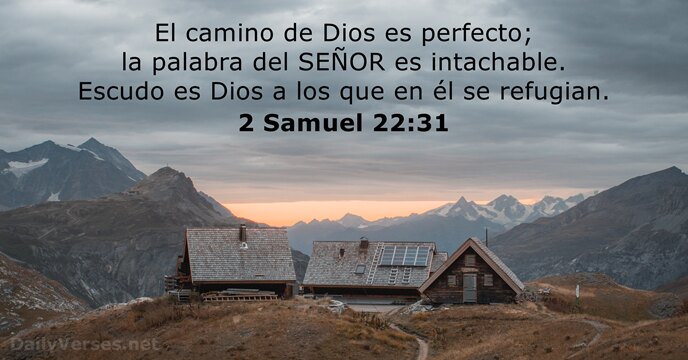 El camino de Dios es perfecto; la palabra del SEÑOR es intachable… 2 Samuel 22:31