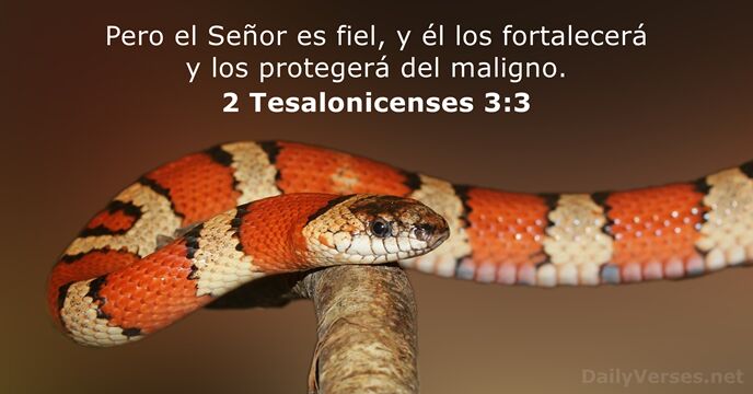 Pero el Señor es fiel, y él los fortalecerá y los protegerá del maligno. 2 Tesalonicenses 3:3