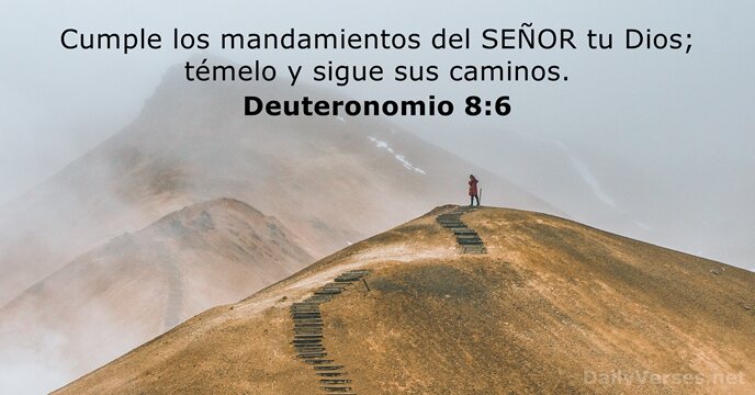 Cumple los mandamientos del SEÑOR tu Dios; témelo y sigue sus caminos. Deuteronomio 8:6