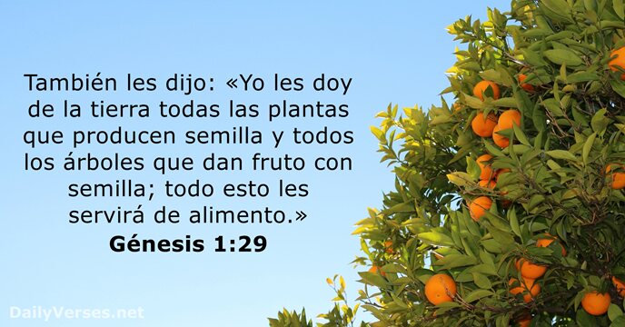 También les dijo: «Yo les doy de la tierra todas las plantas… Génesis 1:29