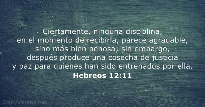 Ciertamente, ninguna disciplina, en el momento de recibirla, parece agradable, sino más… Hebreos 12:11