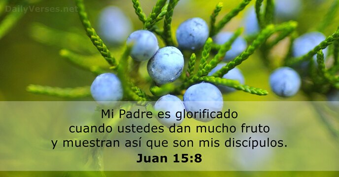 Mi Padre es glorificado cuando ustedes dan mucho fruto y muestran así… Juan 15:8