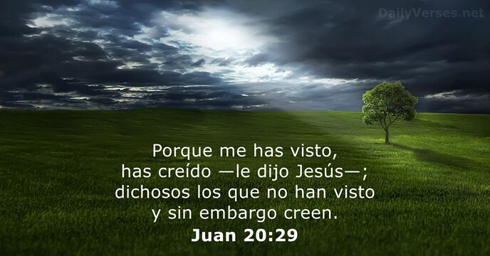 Porque me has visto, has creído —le dijo Jesús—; dichosos los que… Juan 20:29