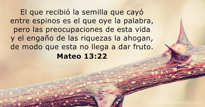 El que recibió la semilla que cayó entre espinos es el que… Mateo 13:22