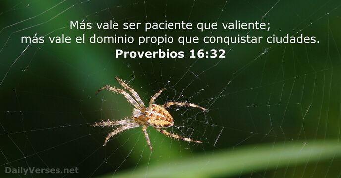 Más vale ser paciente que valiente; más vale el dominio propio que conquistar ciudades. Proverbios 16:32