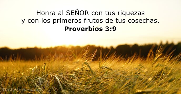 Honra al SEÑOR con tus riquezas y con los primeros frutos de tus cosechas. Proverbios 3:9