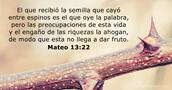 Mateo 13:22