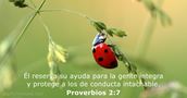 Proverbios 2:7