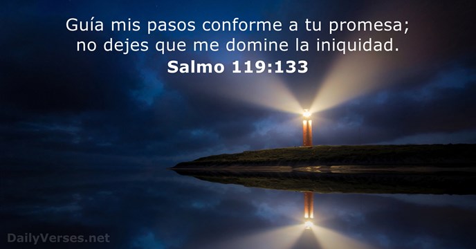 Guía mis pasos conforme a tu promesa; no dejes que me domine la iniquidad. Salmo 119:133