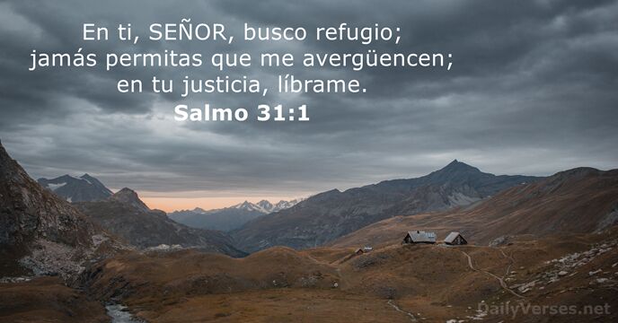 En ti, SEÑOR, busco refugio; jamás permitas que me avergüencen; en tu justicia, líbrame. Salmo 31:1