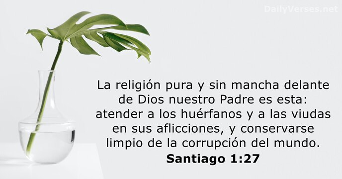 La religión pura y sin mancha delante de Dios nuestro Padre es… Santiago 1:27