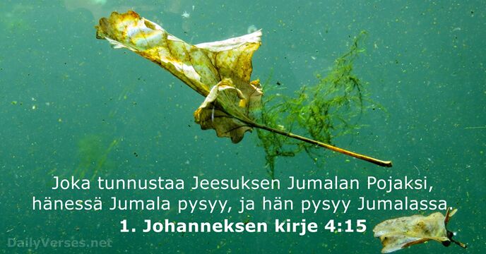 1. Johanneksen kirje 4:15
