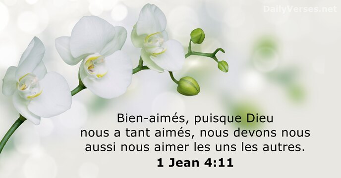 1 Jean 4:11