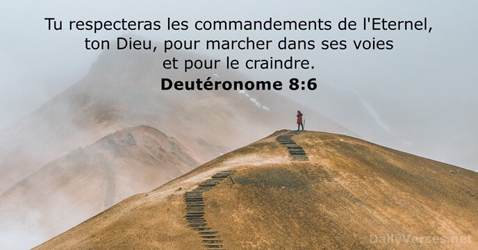 Tu respecteras les commandements de l'Eternel, ton Dieu, pour marcher dans ses… Deutéronome 8:6
