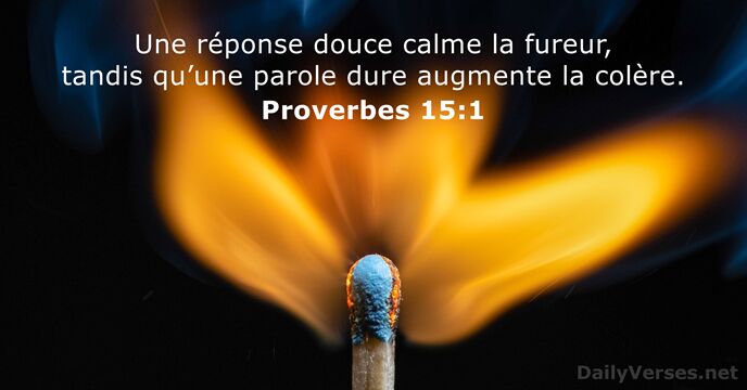 Une réponse douce calme la fureur, tandis qu’une parole dure augmente la colère. Proverbes 15:1