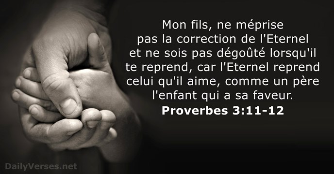 Mon fils, ne méprise pas la correction de l'Eternel et ne sois… Proverbes 3:11-12