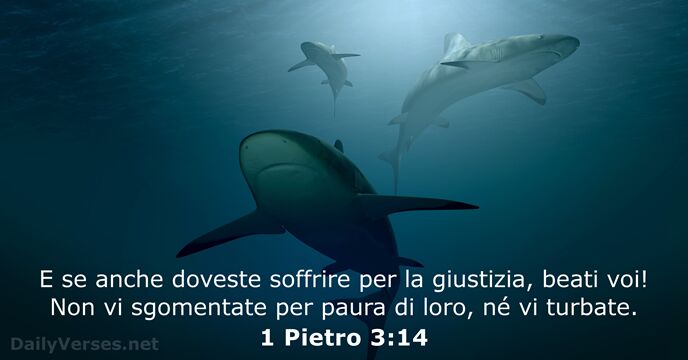 1 Pietro 3:14