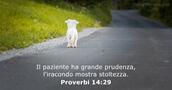 Proverbi 14:29