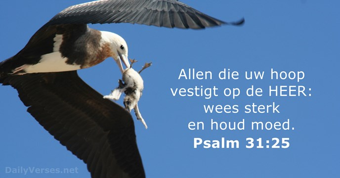 psalm-31-25-bijbeltekst-van-de-dag-dailyverses